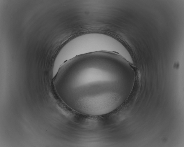 X0000088870076200707061356