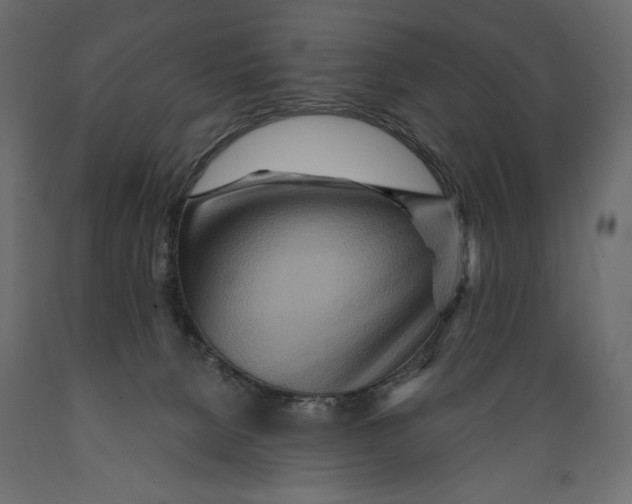 X0000088870080200707061356