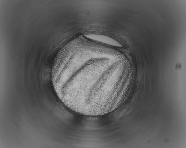 X0000088870081200707061356