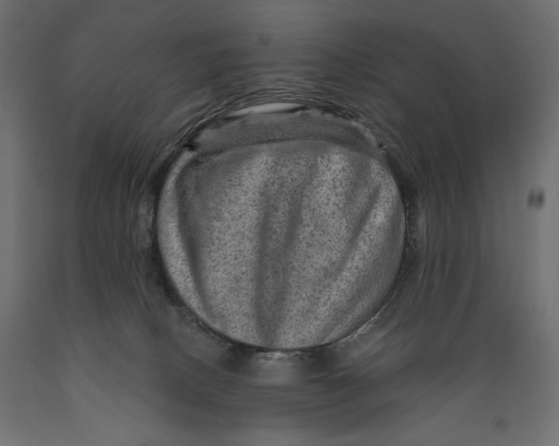 X0000088870082200707061356