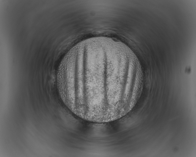 X0000088870085200707061357