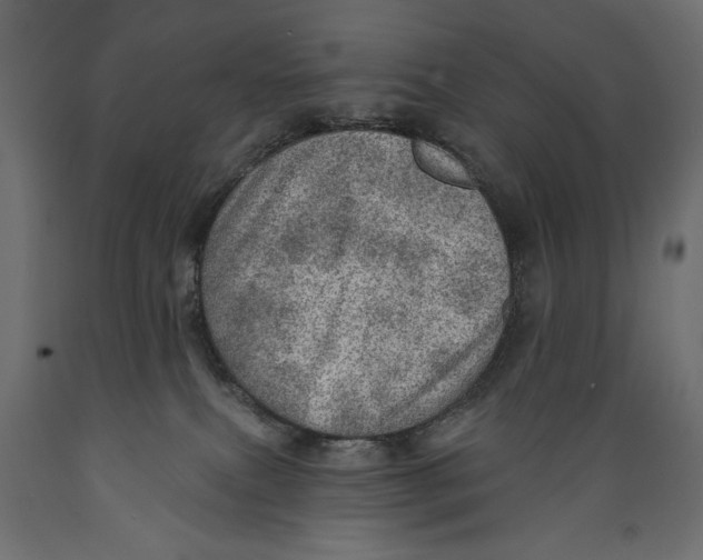 X0000088870087200707061357