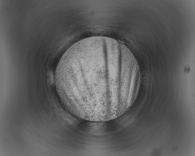 X0000088870089200707061357