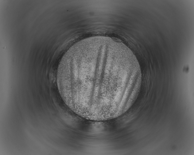 X0000088870091200707061357