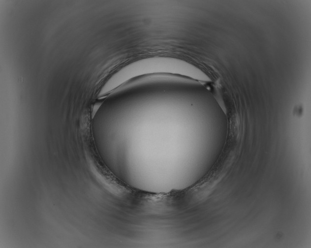X0000088870092200707061357