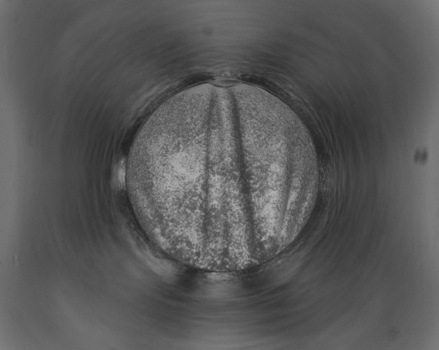 X0000088870095200707061357