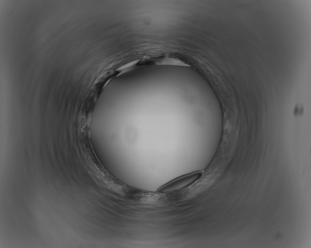 X0000088870096200707061357
