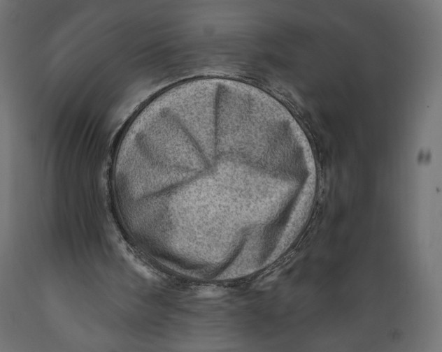 X0000088870098200707061356