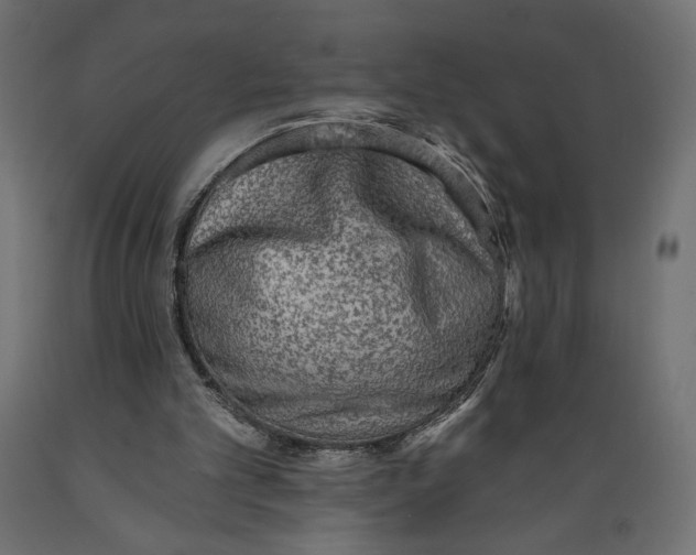 X0000088870101200707061356