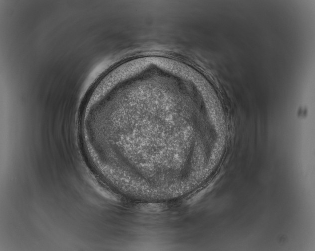 X0000088870102200707061356