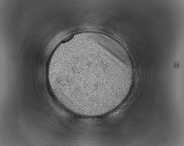 X0000088870103200707061356