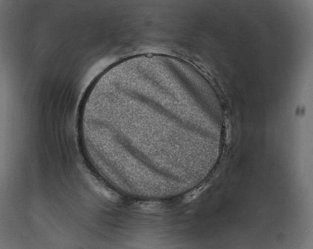 X0000088870104200707061356
