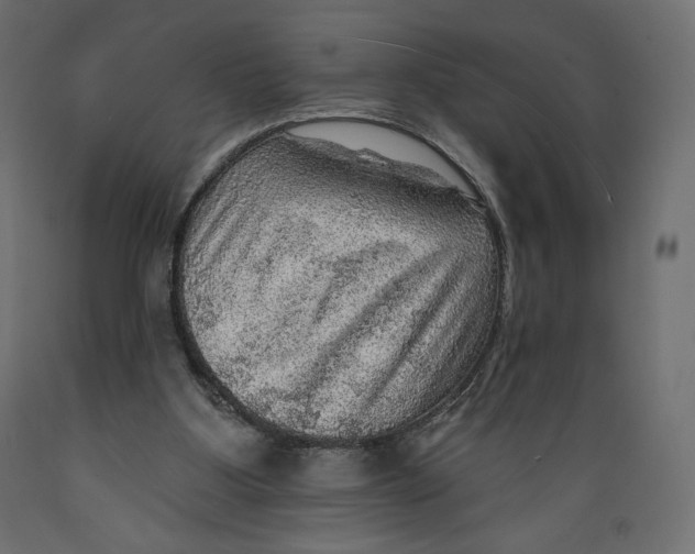 X0000088870107200707061356