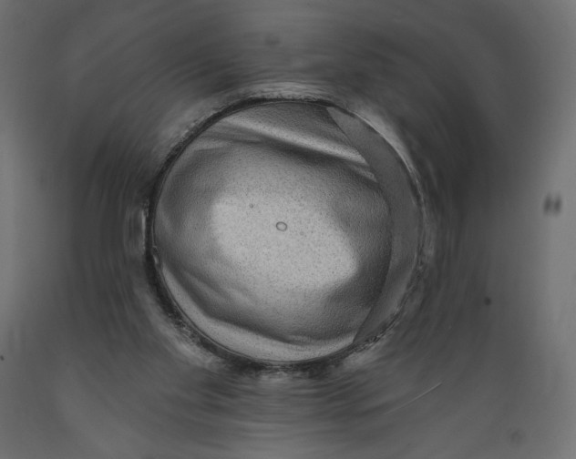 X0000088870109200707061356