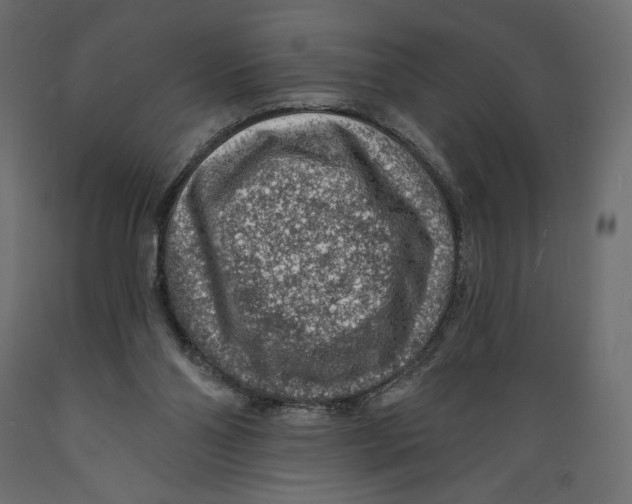 X0000088870110200707061356