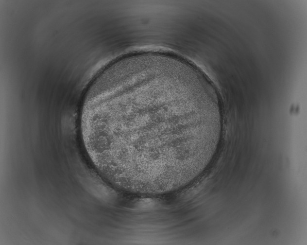 X0000088870111200707061356