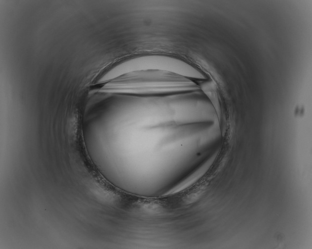 X0000088870113200707061356