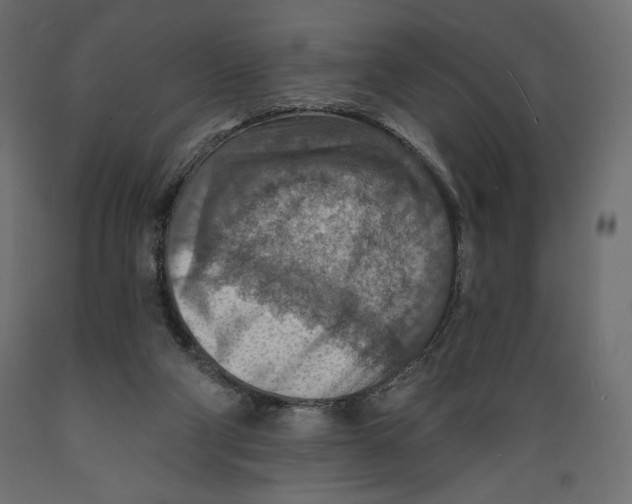 X0000088870114200707061356
