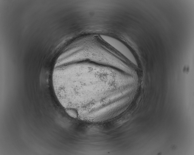 X0000088870115200707061356