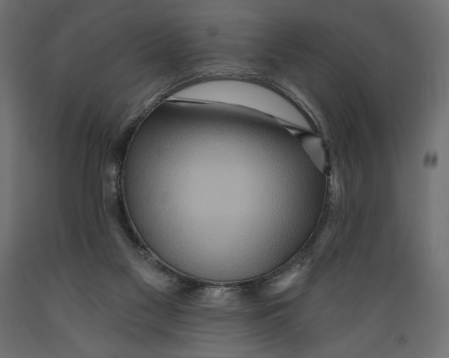 X0000088870117200707061356