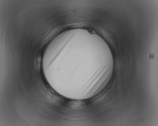 X0000088870118200707061356
