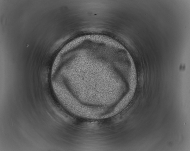 X0000088870120200707061356