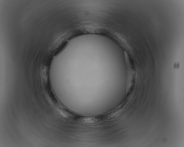 X0000088870121200707061356