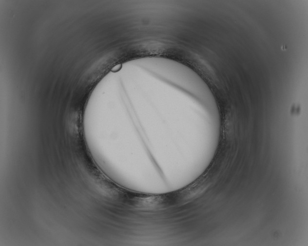 X0000088870122200707061356