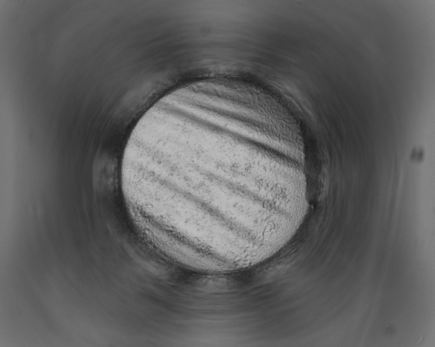 X0000088870123200707061356