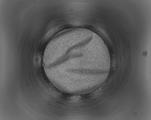 X0000088870124200707061356