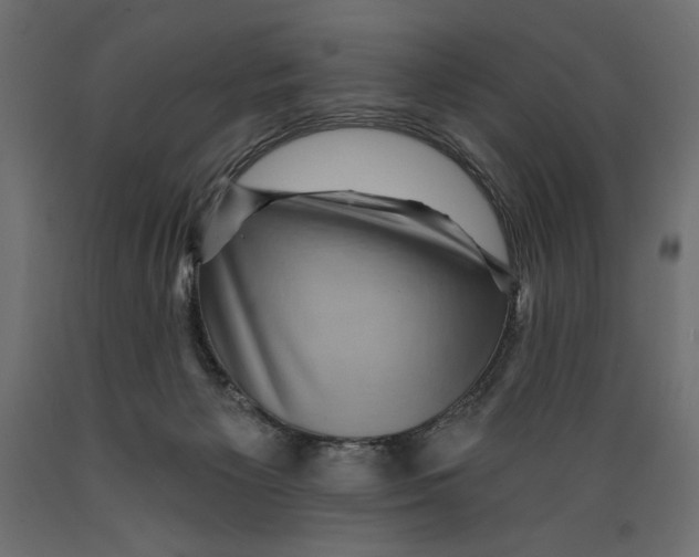 X0000088870125200707061356