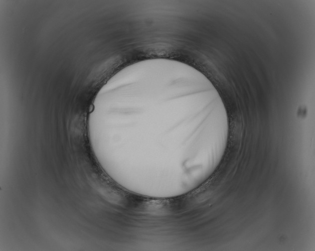 X0000088870126200707061356