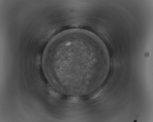 X0000088870127200707061356