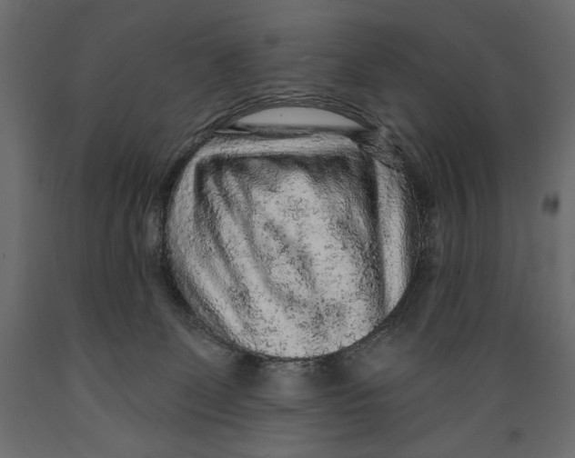 X0000088870131200707061356
