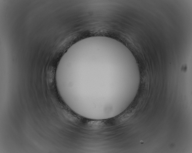 X0000088870133200707061355