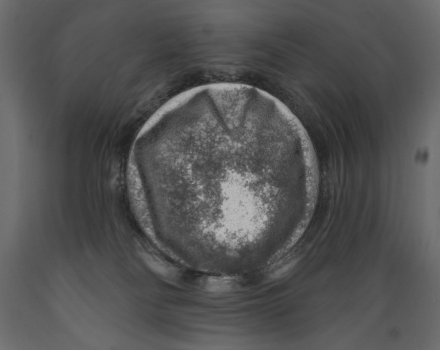 X0000088870134200707061355
