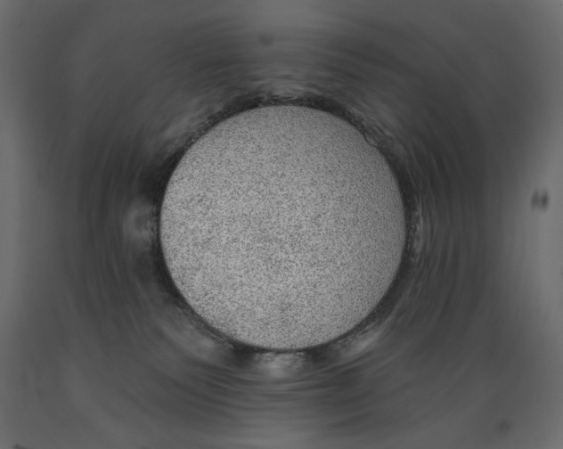 X0000088870135200707061355