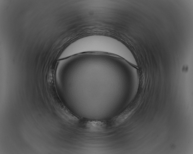 X0000088870137200707061355