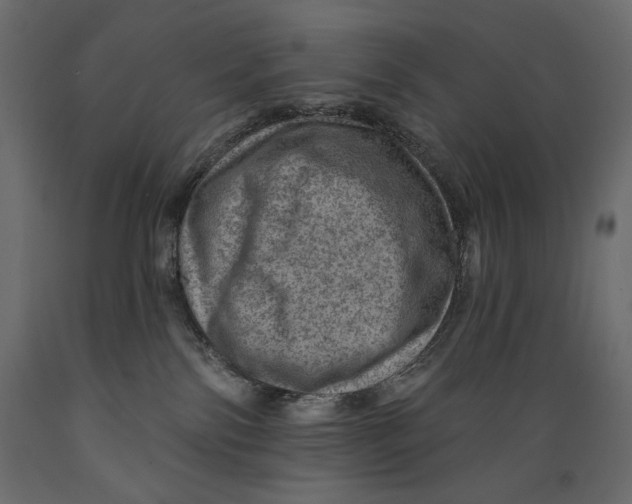 X0000088870138200707061355