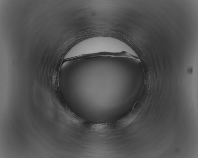 X0000088870139200707061355