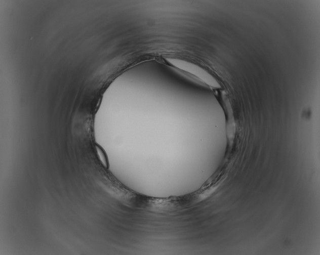 X0000088870141200707061355