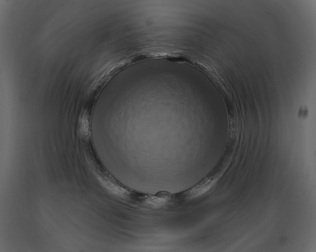 X0000088870143200707061355