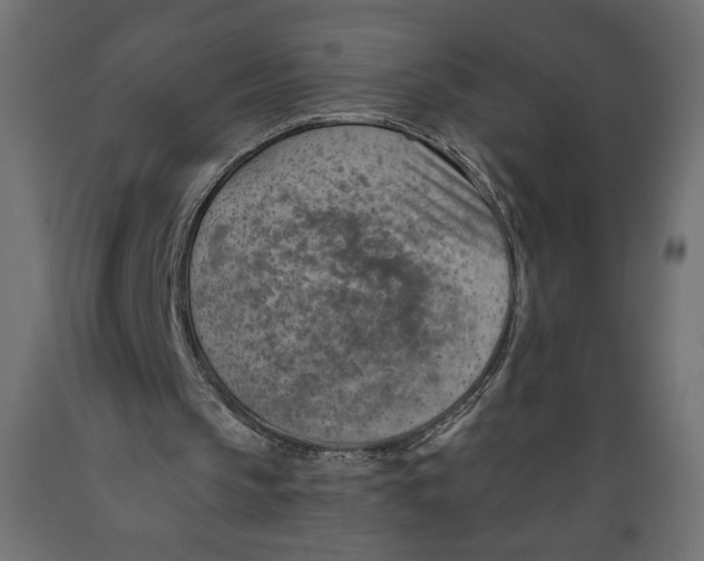 X0000088870145200707061355