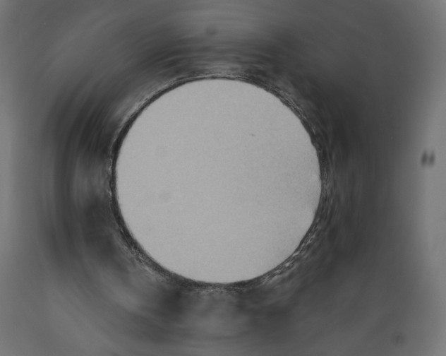 X0000088870146200707061355