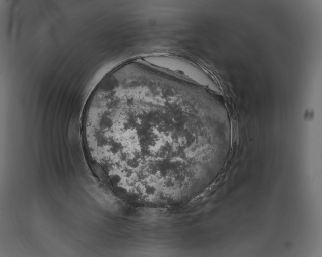X0000088870147200707061355