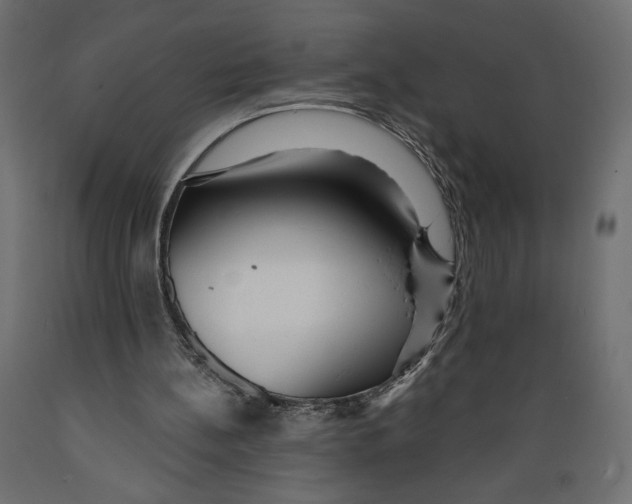 X0000088870148200707061355