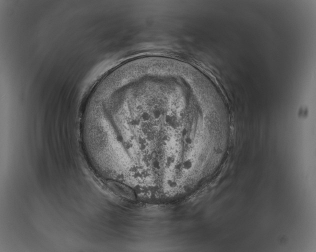 X0000088870149200707061355