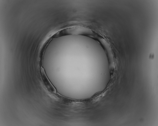 X0000088870150200707061355