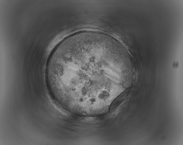 X0000088870151200707061355