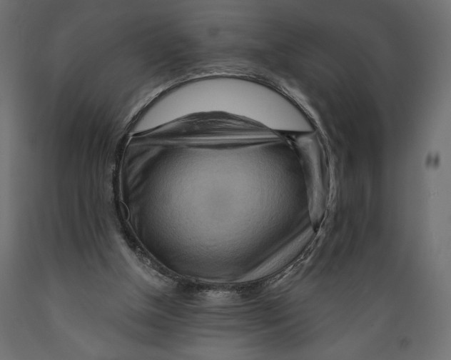 X0000088870154200707061355